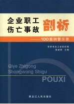 企业职工伤亡事故剖析 100案例警示录