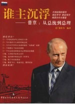 谁主沉浮 普京：从总统到总理