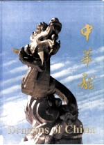 中华龙 画册