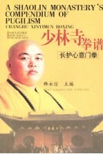 少林寺拳谱 长护心意门拳