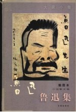 鲁迅集 小说散文卷 注释本 插图本