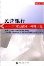 民营银行 中国金融另一种现代化