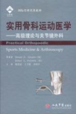 实用骨科运动医学 高级理论与关节镜外科
