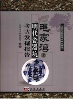 毛家湾:明代瓷器坑考古发掘报告 上