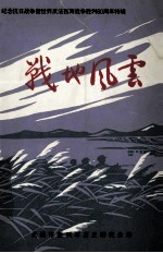 纪念抗日战争暨世界反法西斯战争胜利60周年特辑 战地风云