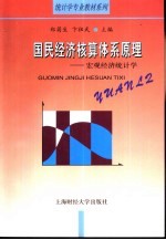 国民经济核算体系原理 宏观经济统计学