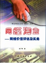 网络淘金 网络价值评估及实务