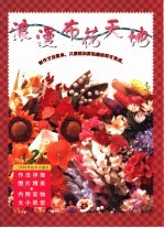 浪漫布花天地 2