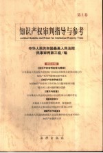 知识产权审判指导与参考 第2卷