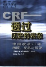 透过历史的表象 中国改革20年回顾、反思与展望
