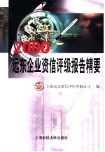 2000远东企业资信评级报告精要