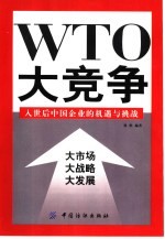 大竞争 入世后中国企业的机遇与挑战