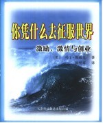 你凭什么去征服世界 激励， 激情与创业