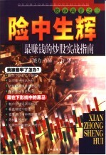 险中生辉 最赚钱的炒股实战指南