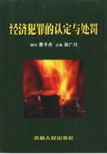 经济犯罪的认定与处罚 上