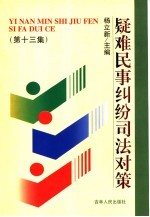 疑难民事纠纷司法对策 第13集