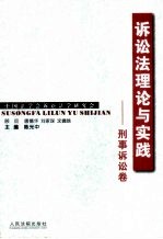 诉讼法理论与实践 刑事诉讼卷