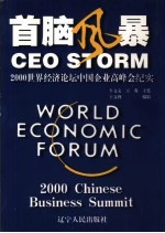 首脑风暴 2000世界经济论坛中国企业高峰会纪实