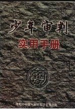 少年审判实用手册