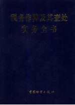 税务作弊及其查处实务全书 中