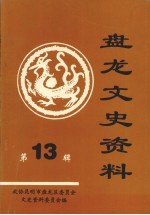 盘龙文史资料 第13辑