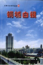 甘肃文史资料选辑 第56辑 白银市文史资料 第5辑 铜城白银