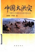 中国大洪灾 1991年中国特大洪涝灾害纪实