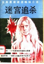 迷宫追杀