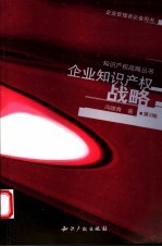 企业知识产权战略 第2版
