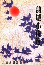 鸽城小说选