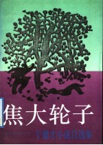 焦大轮子 于德才小说自选集