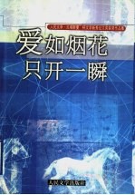 爱如烟花只开一瞬 “人民文学·贝塔斯曼”杯文学新秀征文获奖作品集