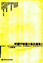 叶楠中短篇小说自选集