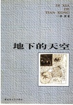 地下的天空