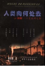 人类向何处去 和解-人类光明之路