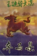 奔马集:王迪诗文选