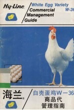 海兰 白壳蛋鸡W-36商品代管理指南