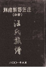 河南新野汪庄(初修)汪氏族谱