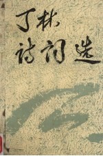 丁林诗词选