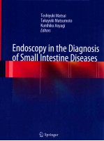 ENDOSCOPY IN THE DIAGNOSIS OF SMALL INTESTINE DISEASES