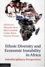 ETHNIC DIVERSITY AND ECONOMIC INSTABILITY IN AFRICA INTERDISCIPLINARY PERSPECTIVES