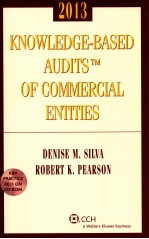 KNOWLEDGE-BASED AUDITS OF COMMERCIAL ENTITIES 2013