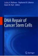 DNA REPAIR OF CANCER STEM CELLS