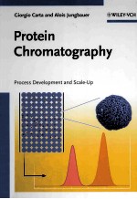 PROTEIN CHROMATOGRAPHY PROCESS DEVELOPMENT AND SCALE-UP