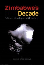 ZIMBABWE'S LOST DECADE POLITICS