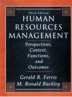 HUMAN RESOURCES MANAGEMENT PERSPECTIVES,CONTEXT,FUNCTIONS,AND OUTCOMES THIRD EDITION