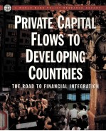 PRIVATE CAPITAL FLOWS TO DEVELOPING COUNTRIES THR ROAD TO FINANCIAL INTEGRATION