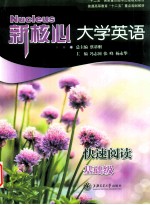 新核心大学英语快速阅读 基础级