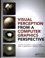 Visual Perception from a Computer Graphics Perspective