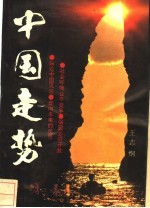 中国走势采访录